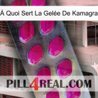 À Quoi Sert La Gelée De Kamagra 09